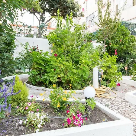 Graca Palace With Private Pool Garden Lägenhet
