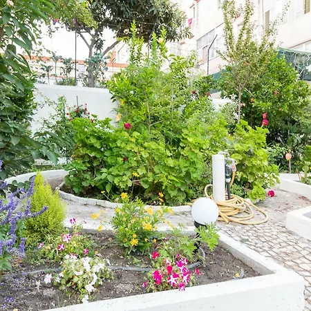 Graca Palace With Private Pool Garden 아파트