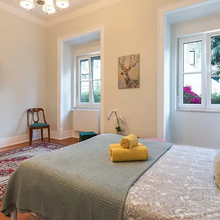 Graca Palace With Private Pool Garden Apartment