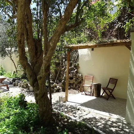 Graca Palace With Private Pool Garden アパート リスボン