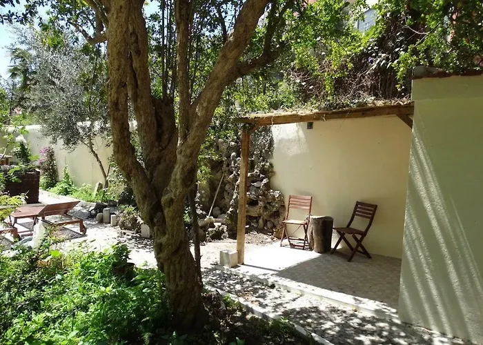 Graca Palace With Private Pool Garden Διαμέρισμα Lisboa