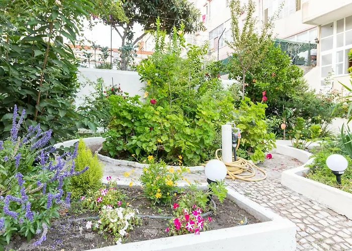 Graca Palace With Private Pool Garden Διαμέρισμα